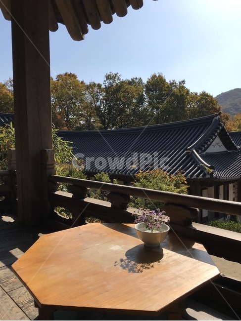 꽃,테이블,자연,nature,절