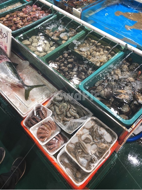 해산물,수산시장,풍경,조개,낙지,시장,마트,마켓,market,mart,market place,음식,식재료,요리,food,cook,meal,dishes,food reserves,수산물,해산물,fishery products,seafood