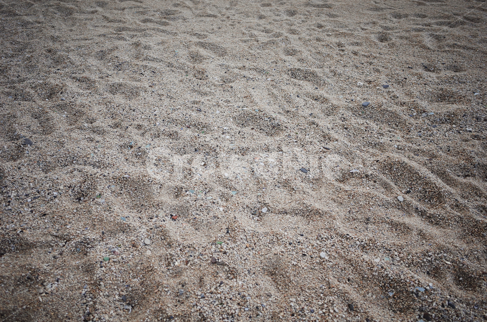 모래,sand,자연,nature,옥외,outdoors,흙,soil,바닥,ground,해변,beach,해수욕장,모래사장,발자국