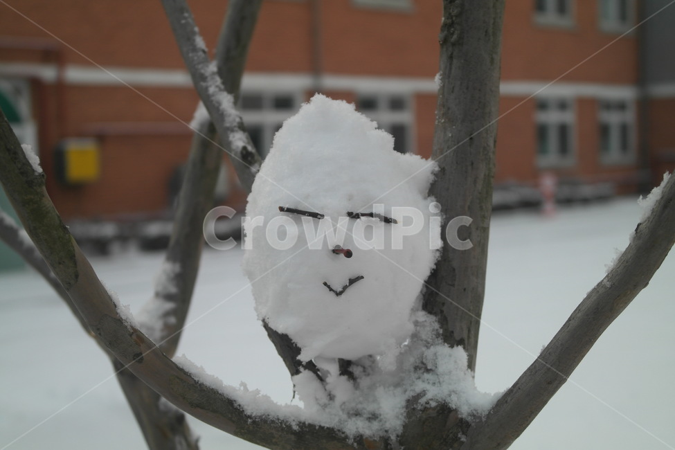 nature,outdoors,옥외,snow,눈,겨울,계절,winter,season