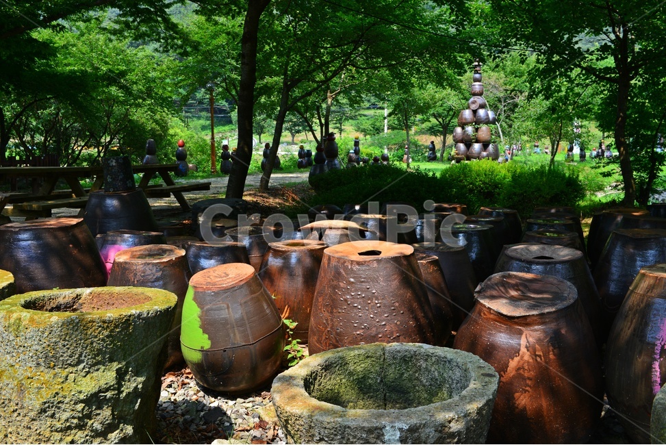 nature,자연,outdoors,옥외,plant,식물,학독,돌학독,항아리,항아리공원