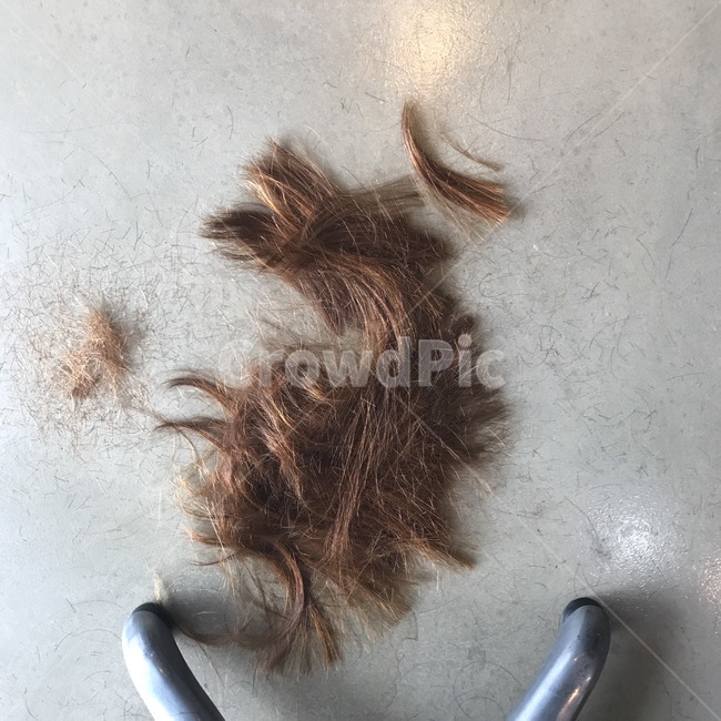 머카카락,미용,컷트,갈색머리,머리,잘린머리카락