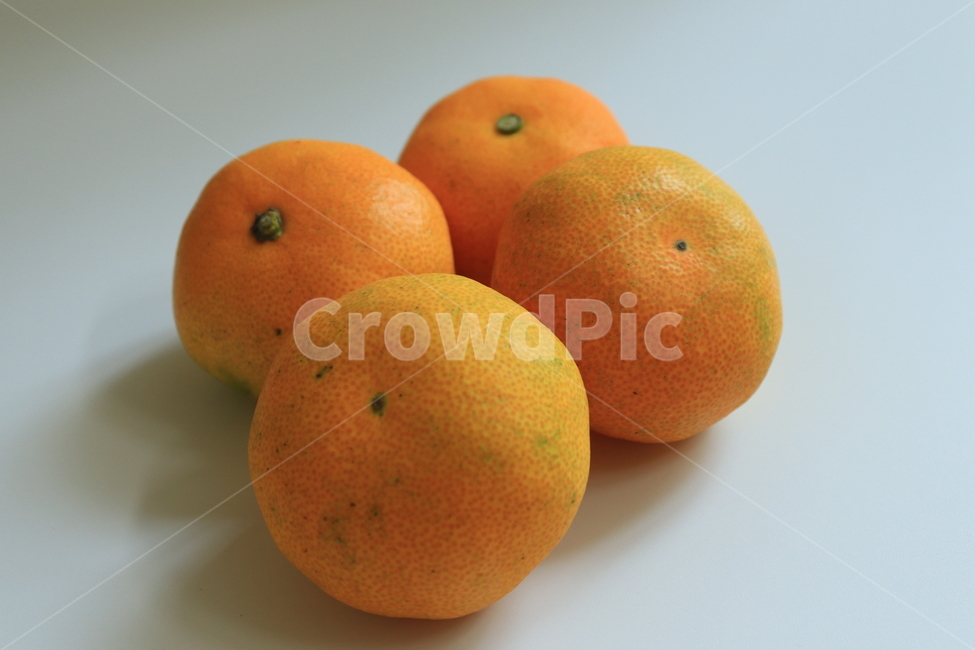 귤,겨울과일,과일,fruit,tangerine,제주도,오렌지,orange,주황색,신선함,새콤,달콤,cook,식재료,귤쥬스,한라봉,비타민c,간식,snack,wintersnack,과일,열매,fruit