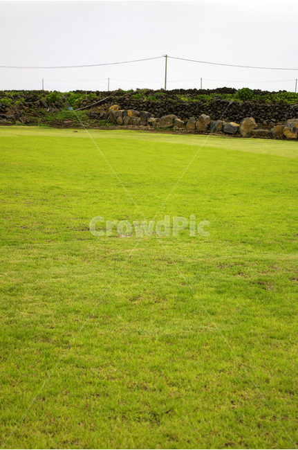 제주,우도,초원,풍경,잔디,하늘,자연,풍경,nature,landscape,grass,plant,식물,lawn