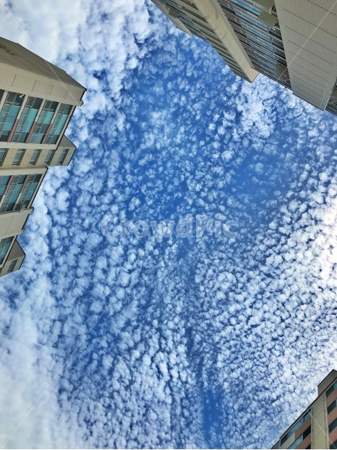 하늘,sky,구름,clouds,파란하늘,건물,building,자연,nature,풍경,scenery,landscape,색깔,색상,색채,색감,colorsense,colorsensitivity,feelingofcolor
