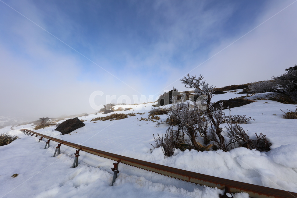 겨울,설산,눈,자연,풍경,하늘,소나무,겨울,계절,winter,season,자연,풍경,nature,landscape,handrail,난간,banister,outdoors,옥외