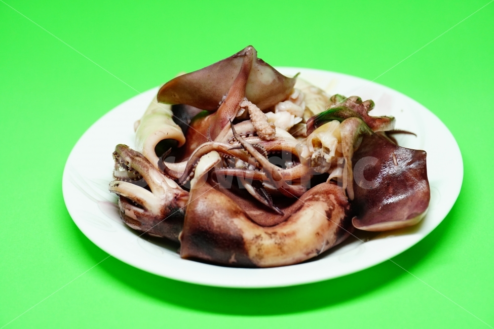 오징어,음식,요리,식사,메뉴,수산물,해산물,seafood,씨푸드,food,안주,술안주,맛있다,맛있는,반찬,레시피,cook,meal,dessert,디저트,dish,접시,맛집,물고기,식자재,식재료,후식,간식,칼로리,영양가,식단,건강,원기,기운,누끼,누끼사진,컨셉,콘셉,concept,해물요리,해물,eat,먹거리,먹을거리,사물,물건,오브젝트,object,recipe,식품,식료품,음식,식재료,요리,food,cook,meal,dishes,food reserves,수산물,해산물,fishery products,seafood,누끼,remove background