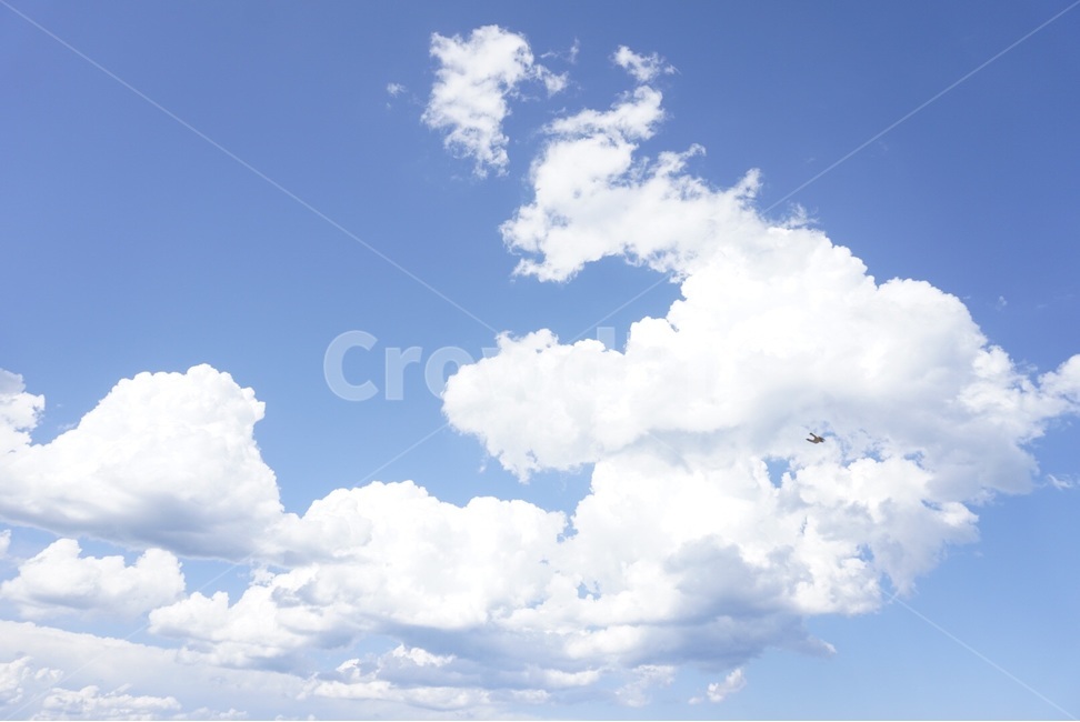 시드니,Sydney,호주,자연,nature,풍경,scenery,하늘,sky,구름,cloud,자연,풍경,nature,landscape,outdoors,옥외,azure sky,푸른 하늘