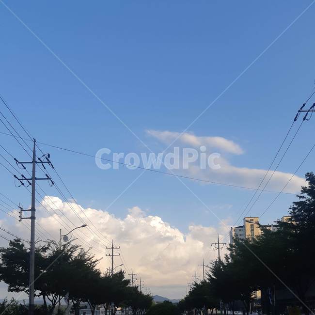 electrictransmissiontower,전력선,송전탑,cable,케이블,powerlines,도로,가로수,하늘,구름,여름