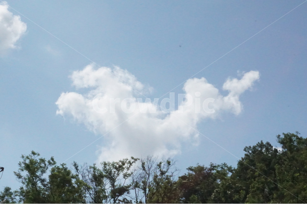 하늘,말,구름,여름,아침,모양,백마,자연,풍경,nature,landscape,outdoors,옥외,cloud,cumulus,적운,sky,weather,날씨