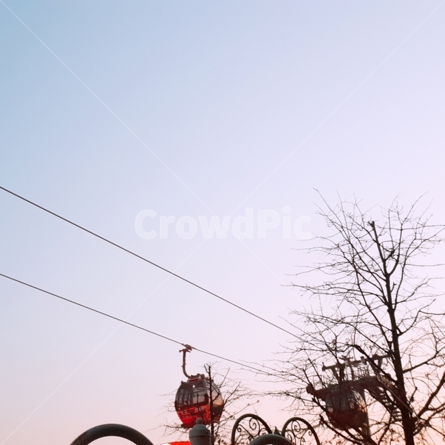 하늘,노을,놀이기구,sky,해질녘,landscape,tree,나무,나뭇가지,배경,야외,outdoor,케이블카,cablecar