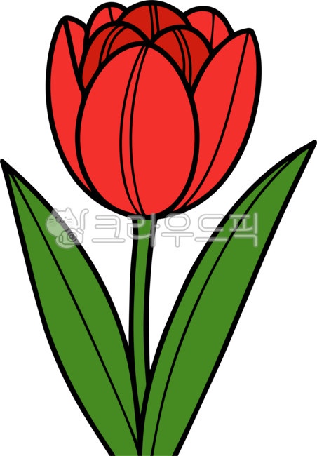 튤립,tulip,꽃,flower,일러스트,튤립그림,튤립일러스트,식물,plant,plants,봄꽃,구근식물,컬러,빨간튤립,빨강,빨간