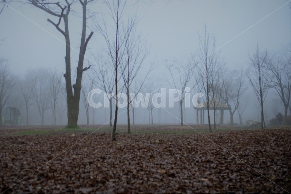 안개,새벽,여명,공원,인천,풍경,자연,풍경,nature,landscape,ground,바닥,weather,날씨,outdoors,옥외