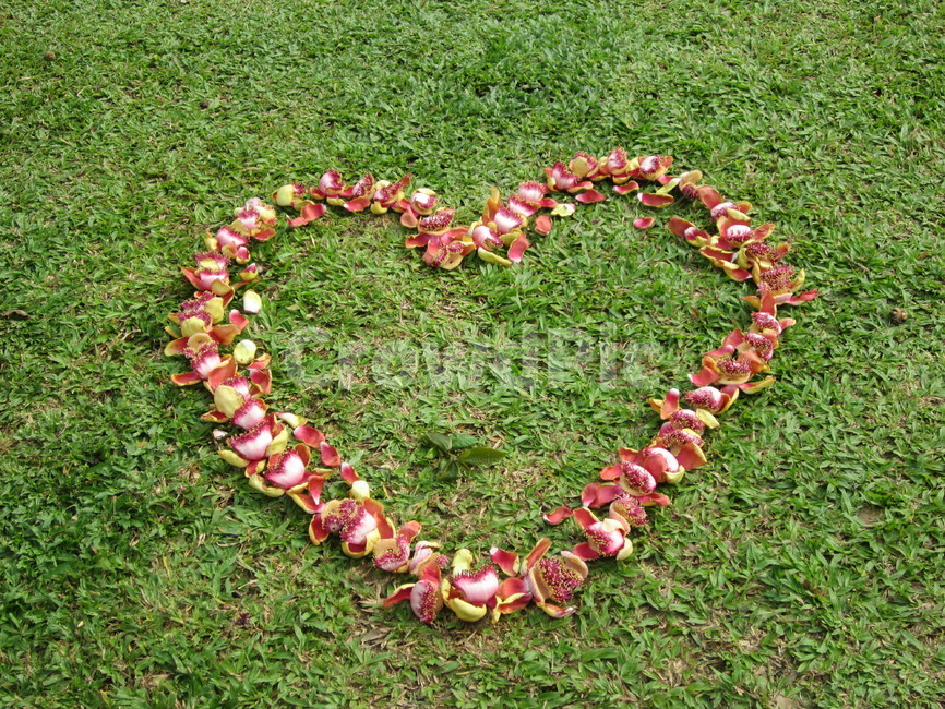 하트,꽃,flower,heart,웨딩소품,wedding,사랑,love,감정표현,기분,feeling,emotion