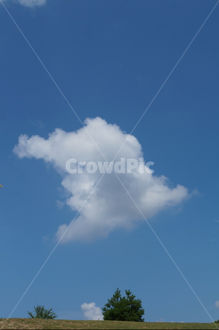 하늘,구름,들판,파란하늘,뭉개구름,풀밭,sky,화창한날,bluesky,cloud,파랑,blue,field,green,walk,stroll,눈부신,shiny