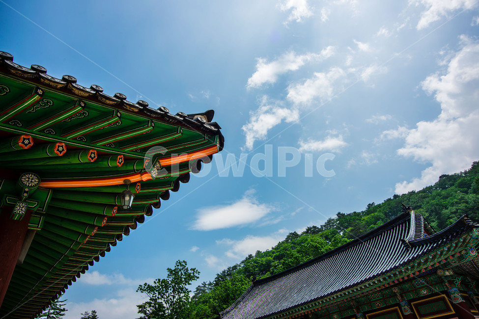 월정사,종교,절,건물,강원도,평창군,한국전통,한국문화,korean traditional,korean culture,건축물,건물외관,exterior,building,structure,architecture,construction
