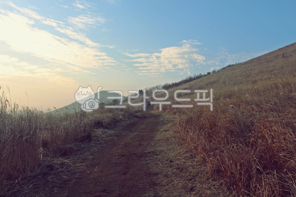 오름,새별오름,제주오름,자연,outdoors,field,경사,slope