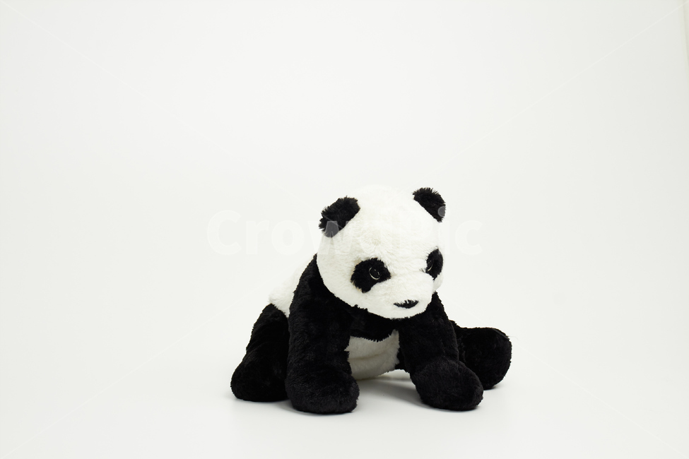 판다,곰,인형,완구,장난감,어린이,사물,물건,오브젝트,thing,objectmatter,누끼,흰색,배경,합성,귀엽다,예쁘다,브라운,리본,눈,코,입,앉다,중국,어린이,어린아이,child,children,kid,사물,물건,오브젝트,thing,object,matter,누끼,remove background