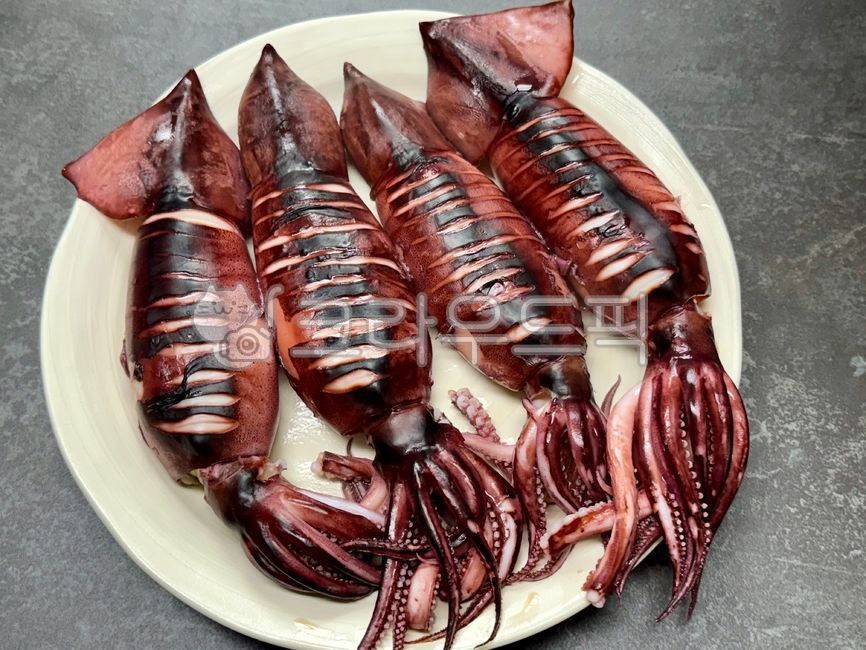 오징어,오징어통찜,오징어찜,오징어요리,동해안오징어,한식,요리,해산물요리,오징어음식,음식,식재료,한국음식,koreafood,찜요리,바다생물,해산물,오징어다리,오징어몸통,찜,초코오징어,속초오징어,산오징어찜,food,seafood
