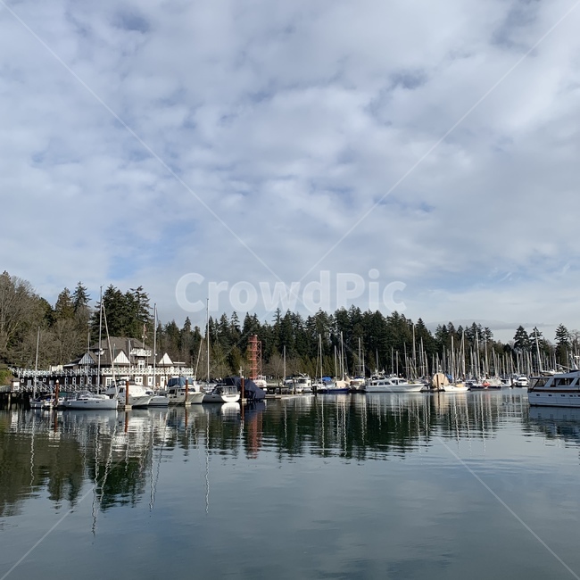 water,물,waterfront,워터프론트,식물,plant,나무,tree,요트,yacht,sailing,캐나다,canada,vancouver,밴쿠버,벤쿠버,평화,peace,풍경사진,풍경