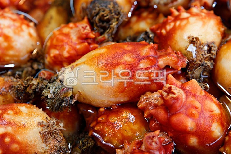 멍게,해물,수산물,해산물,식재료,재료,요리재료,음식,어시장,시장,먹거리,생물