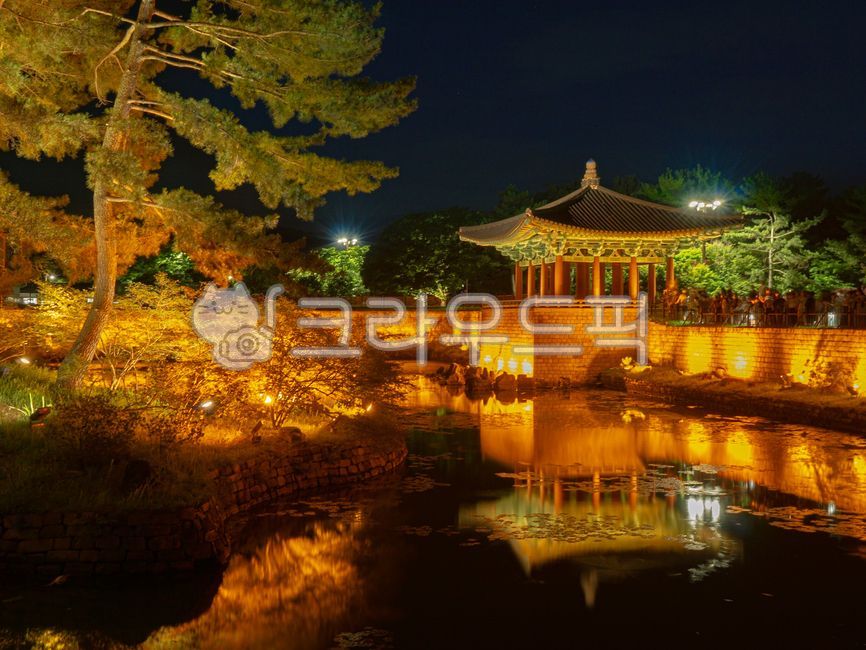 연못,야경,동궁과월지,한옥,나무,불빛