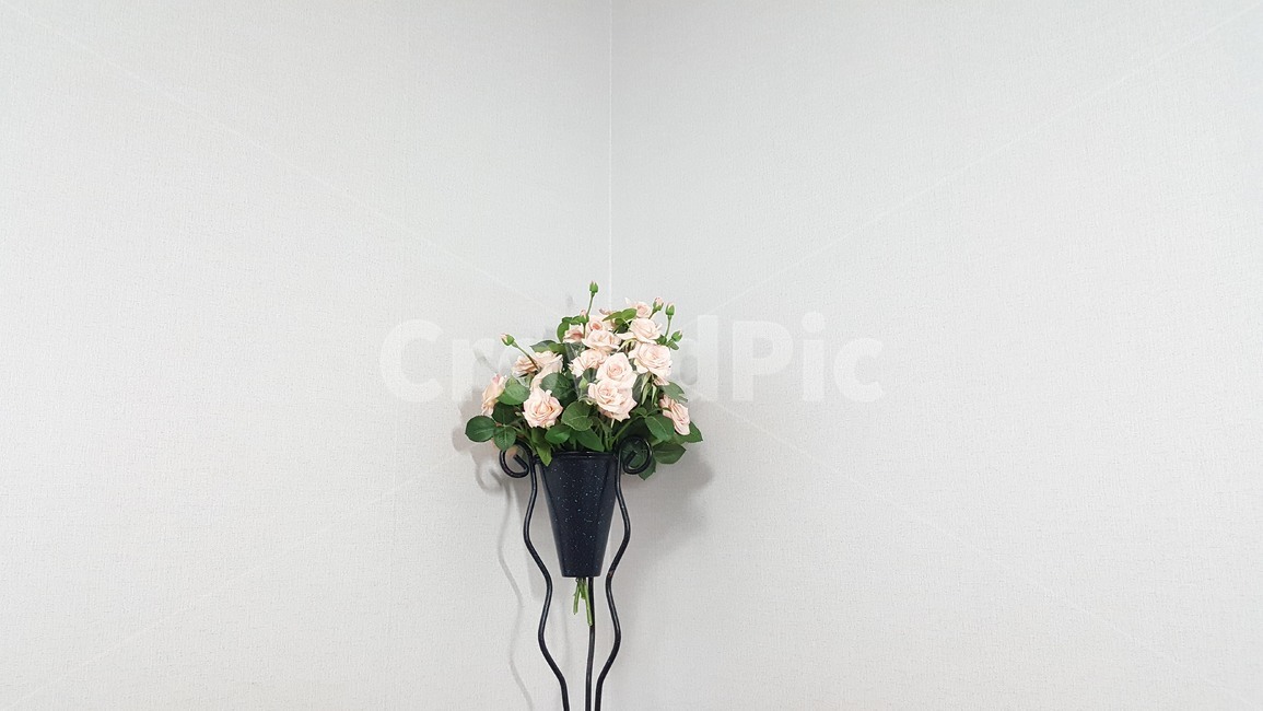 장미,분홍장미,꽃,꽃받이꽃,손수제작꽃,실내용화초,화분,화초,house plant