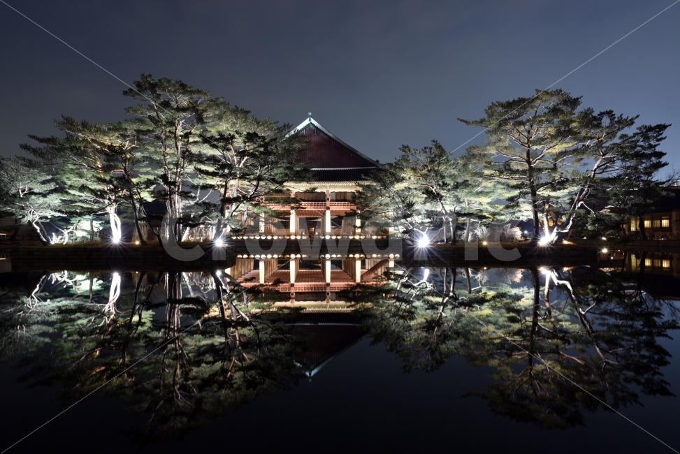 서울,경복궁,야간개장,야경,반영,경회루,나무,조명,Nikon,D750,야경,밤,풍경,nightscape,night,landscape,랜드마크,landmark,tourist attraction,한국전통,한국문화,korean traditional,korean culture,building,건물