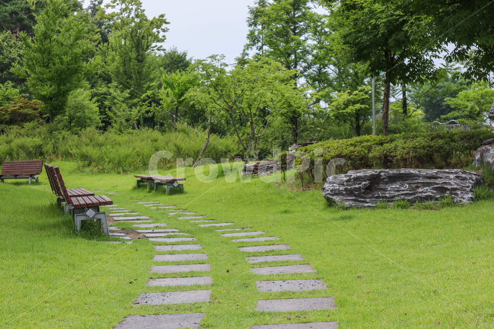 한밭수목원,산책,의자,숲,휴식,초록,수목,자연,자연,풍경,nature,landscape,plant,식물,grass,잔디,bench,벤치