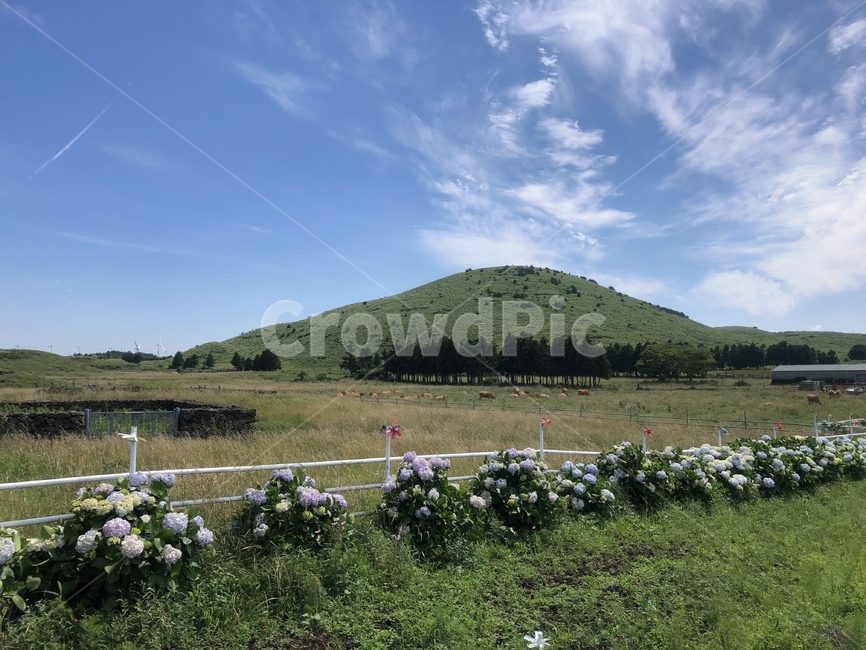 초원,grassland,가을하늘,제주도,jeju,오름,sky,scene