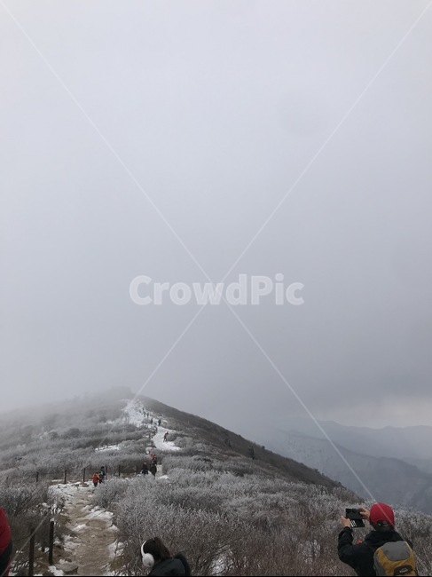 겨울,겨울산,길,굽이굽이,추위