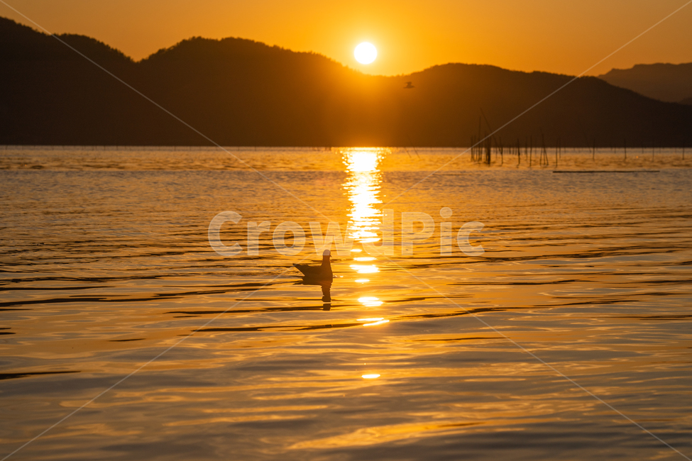 일몰,sunset,새,bird,바다,구름,cloud,붉은노을,redsky,nature,자연,flare,플레어,light,빛,sunlight,햇빛,자연,풍경,nature,landscape