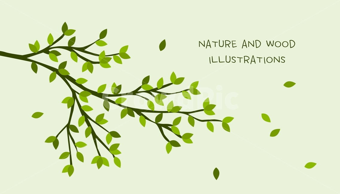 나뭇잎,나무,식물,잎,잎사귀,식물,자연,plants,nature,나무,trees,wood,그래픽,일러스트레이션,graphic,illustration