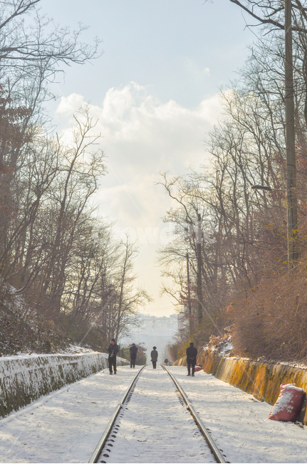 철길,선로,기찻길,눈,겨울,풍경,산책로,하늘,나무,기차,nature,자연,outdoors,옥외,blizzard,눈보라,snow,winter,storm,폭풍