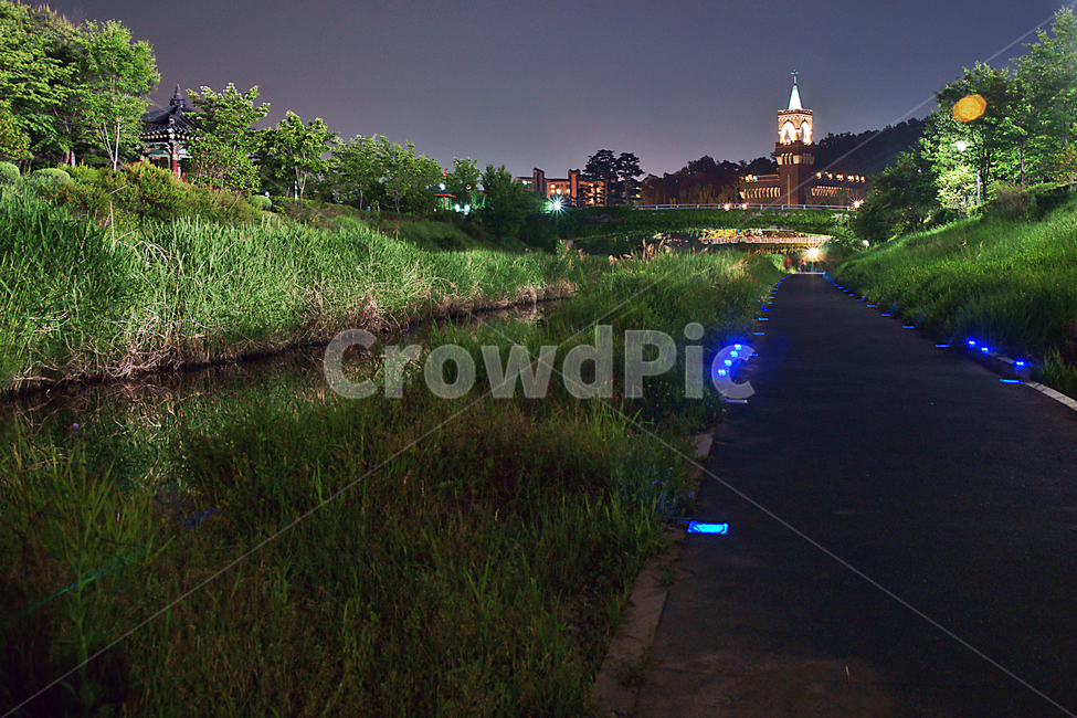 양재천,과천,개울,개천,야경,수풀,도로,야경,밤,풍경,nightscape,night,landscape,종교,신앙,religion,belief,faith,건축물,건물외관,exterior,building,structure,architecture,construction,flare,플레어,light,빛,ditch,도랑