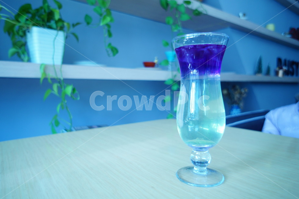 카페,주스,식물,여유,싱그러움,보라색,음료,푸른색,음료수,drink,beverage,사물,물건,오브젝트,thing,object,matter