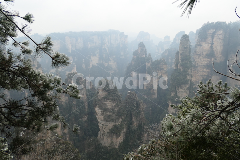 장가계,절경,협곡,돌기둥,자연,자연,풍경,nature,landscape,해외,외국,세계,foreign,oversea,world,세계자연풍경,해외자연풍경,외국자연풍경,world nature landscape,weather,날씨,outdoors,옥외,tree,나무,plant,식물