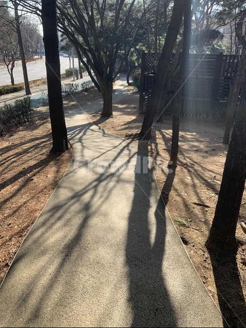 산책,공원,길,그림자,가을길,오솔길