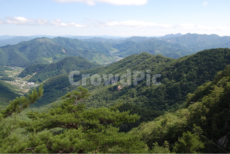 괴산군,국립공원,속리산,자연,여름,자연,풍경,nature,landscape,outdoors,옥외,slope,경사,hill,언덕