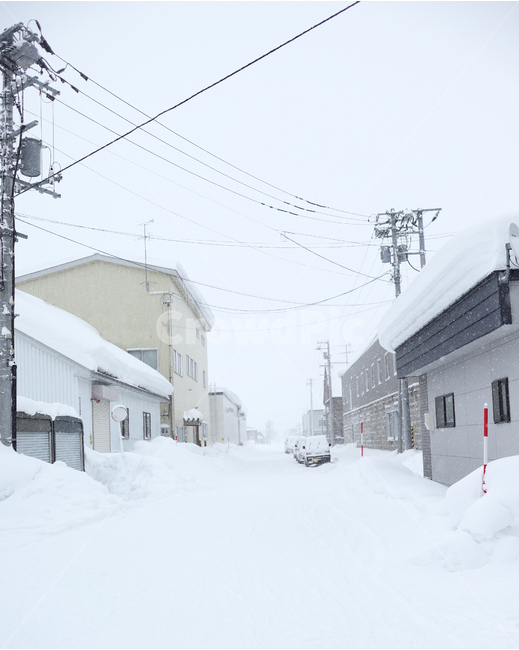 일본,눈,마을,길,삿포로,훗카이도,japan,hokkaido,배경,landscape,겨울,winter,snow,sapporo,건물,전봇대,town,겨울,계절,winter,season,도시,풍경,city,landscape,해외,외국,세계,foreign,oversea,world,세계도시풍경,해외도시풍경,외국도시풍경,world cityscape,nature,자연,outdoors,옥외,blizzard,눈보라,storm,폭풍