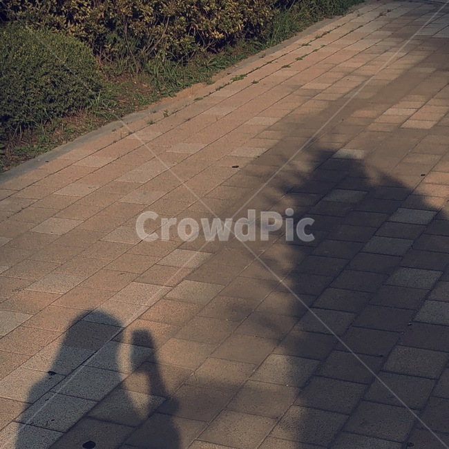 그림자,나무,노을,실루엣,보도,path,통로,walkway,길