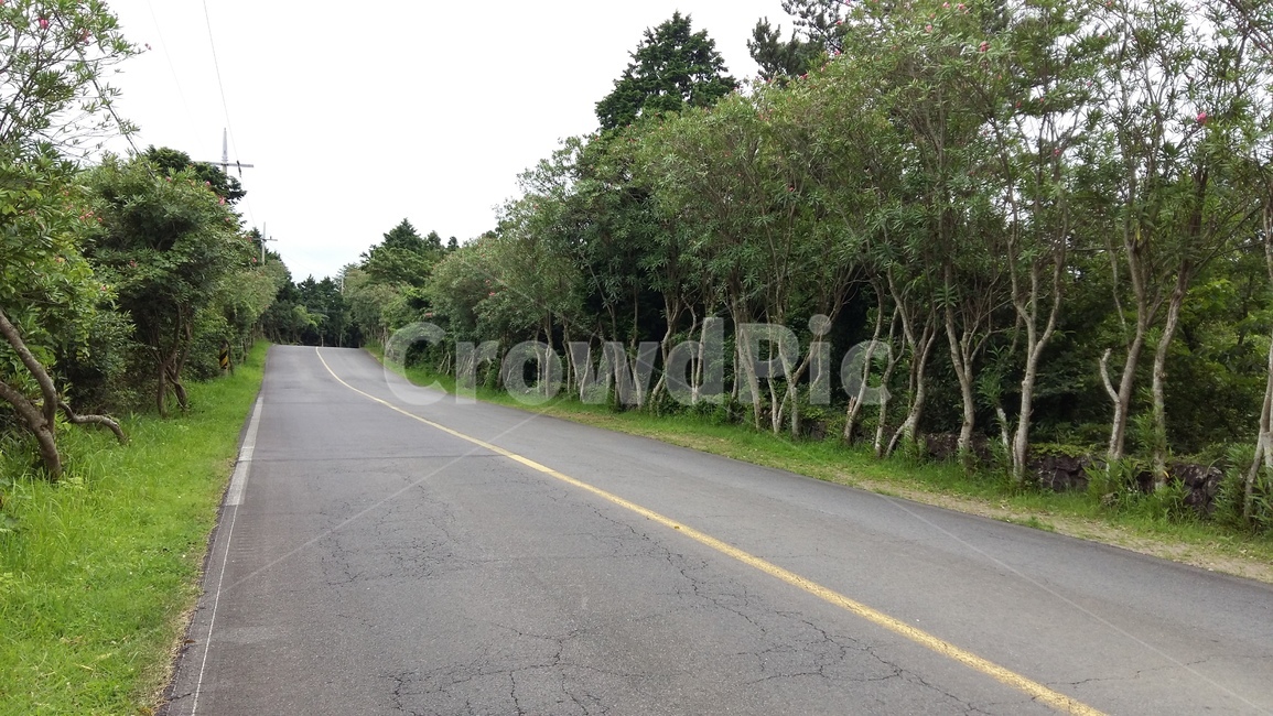 길,도로,산책로,road,자연,jeju,단양,제주도