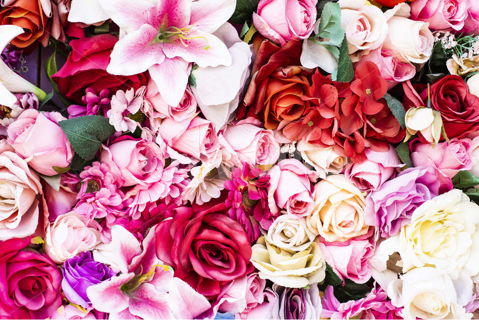꽃,꽃들,식물,조화,화훼,장미,백합,백일홍,flower,꽃,flower
