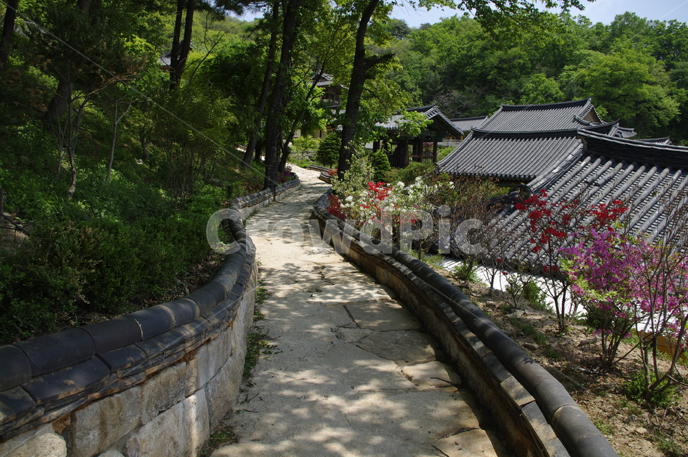 부석사,사찰,건축,전통건축,담장,traditional,길,전통,기와지붕,풍경,초록,나무,잎,식물,plant,한국전통,한국문화,korean traditional,korean culture,건축물,건물외관,exterior,building,structure,architecture,construction