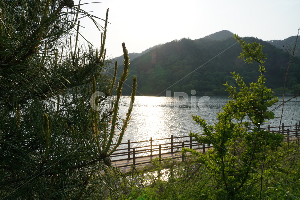 금평저수지,금산사저수지,전주둘레길,댐,김제저수지,저수지둘레길
