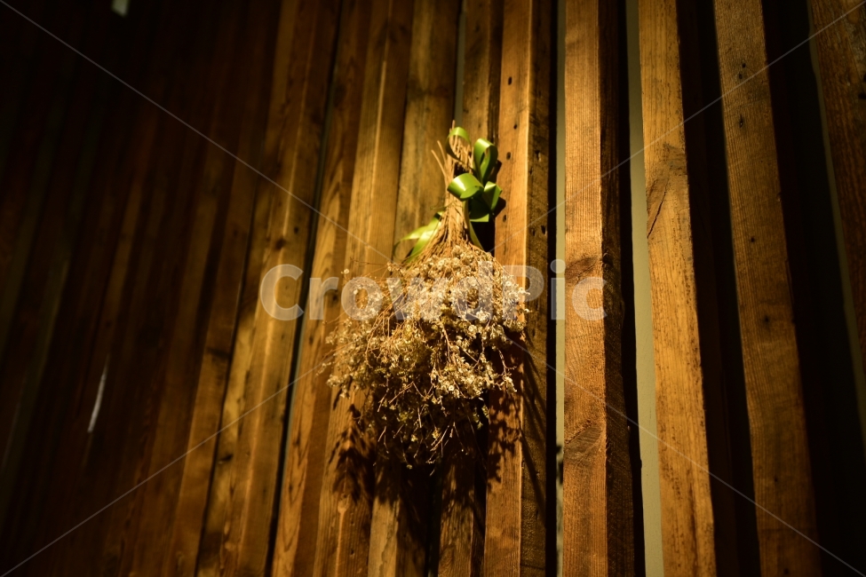 background,emotion,Flower,Driedflowers,Wood,배경,말린꽃,감성,꽃,flower,실내용화초,화분,화초,house plant,인테리어,실내디자인,interior design