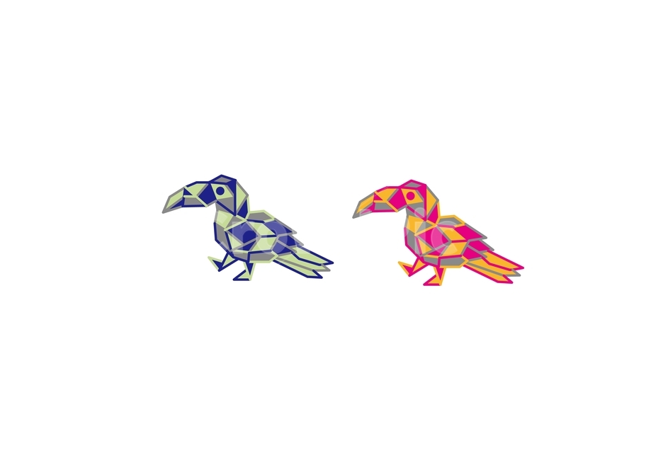 새,투칸,조류,캐릭터,bird,toucan,큰부리새,동물,animal,조류,새,birds,그래픽,일러스트레이션,graphic,illustration