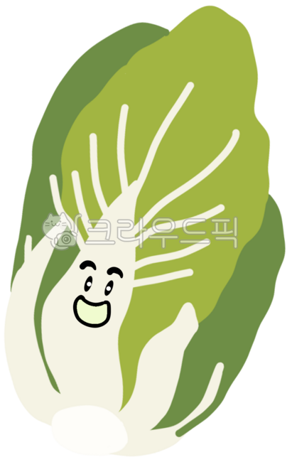 배추, 배추이미지, 김치재료, 배추그림, 통배추, 사진,이미지,일러스트,캘리그라피 - 독서가비비아나작가