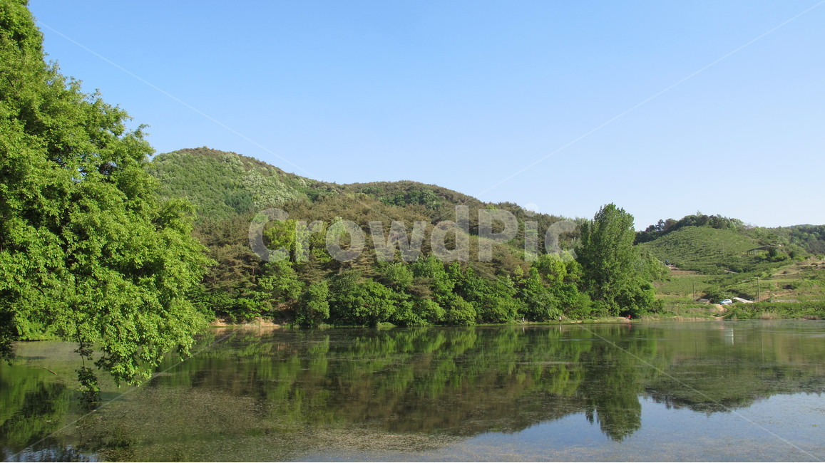 반곡지,reservoir,경산,호수,풍경,자연,풍경,nature,landscape,한국자연풍경,한국자연경관,korea nature landscape,outdoors,옥외,water,물