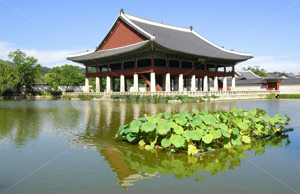 경복궁,경회루,궁,궁궐,건축,한국,전통,전통건축,서울,단청,명소,관광지,건축물,전통건축물,연못,식물,풍경,호수,자연,고건축,문화재,랜드마크,landmark,tourist attraction,한국전통,한국문화,korean traditional,korean culture